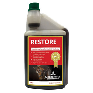 Global Herbs Global Herbs Restore Syrup 1lt 