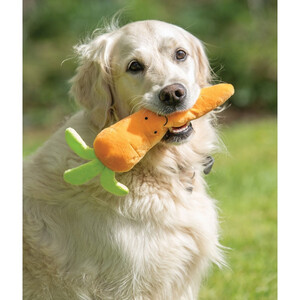 Petface Petface Foodie Faces Fluffy Carrot 