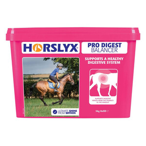 Horslyx Horslyx Pro Digest Balancer Lick 5kg 