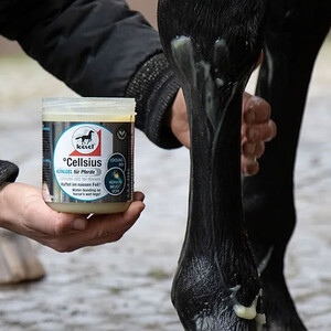 Leovet Leovet Cellsius Gel 
