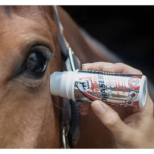 Leovet Leovet Power Phaser Roll On 