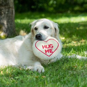 Petface Petface Retro Hug Me Sweet Dog Toy 