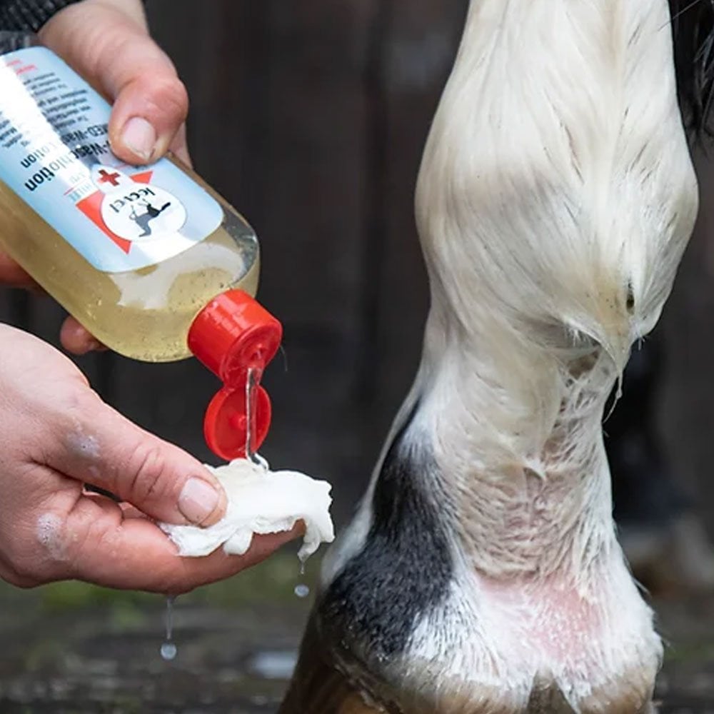 Leovet First Aid Med Wash N/A