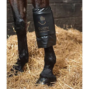 Epiony Epiony The Heat Pad 