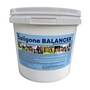 H Bradshaw Coligone Balancer Powder 