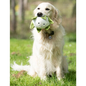 Petface Petface Greenfingers Callie Cauliflower 