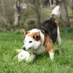 Petface Petface Greenfingers Callie Cauliflower 