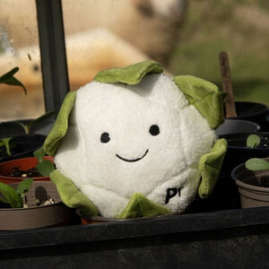 Petface Petface Greenfingers Callie Cauliflower 