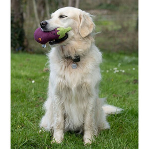 Petface Petface Greenfingers Aubri Aubergine 