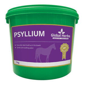 Global Herbs Global Herbs Psyllium 1Kg 