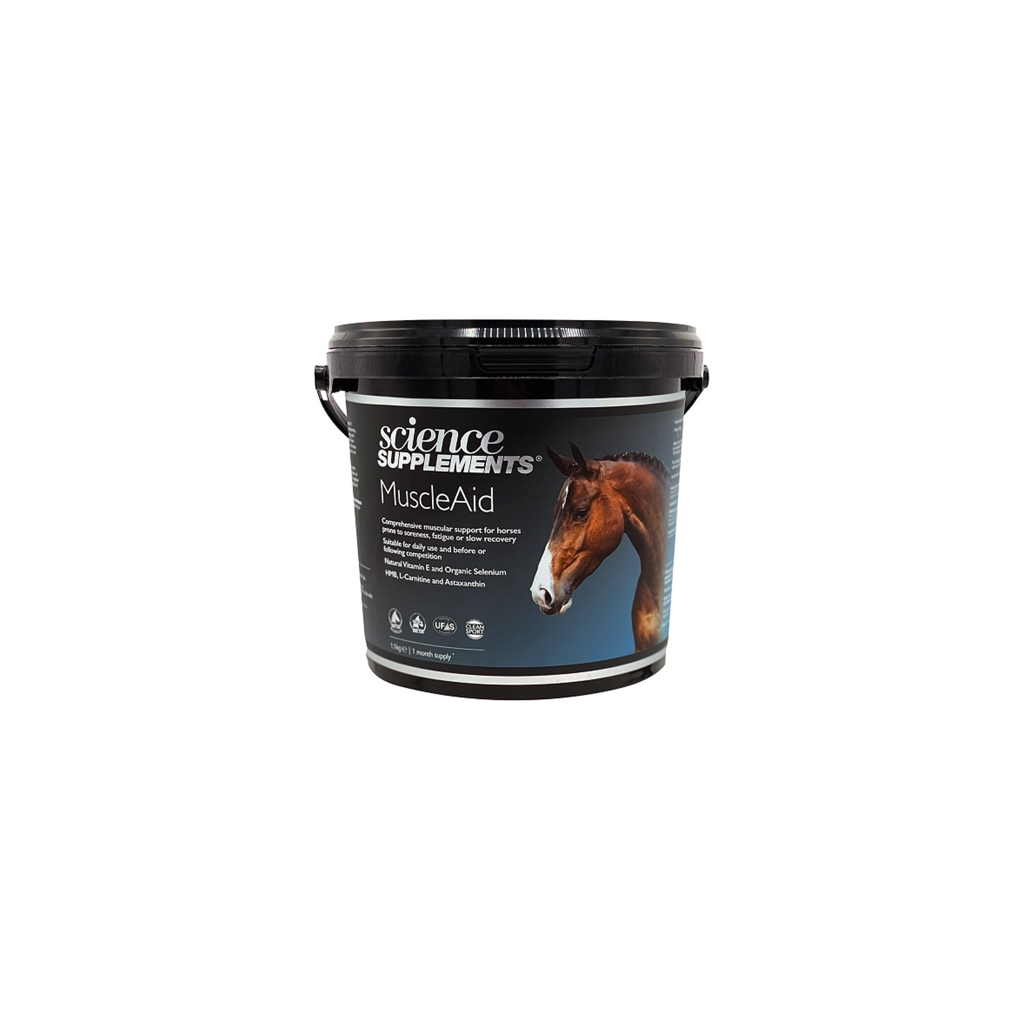 what is n acetyl l carnitine Science Supplements MuscleAid