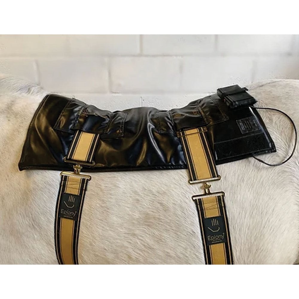 Epiony The Heat Pad Plus 