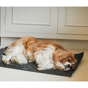 Epiony Epiony The Heat Pad Plus 