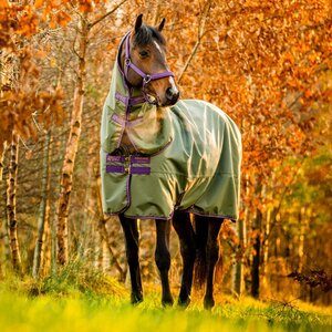 Horseware Amigo Hero Ripstop Plus Lite Turnout Rug Clearance in Bramble/Winterberry