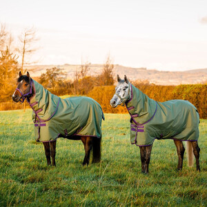 Horseware Amigo Hero Ripstop Plus Lite Turnout Rug Clearance in Bramble/Winterberry