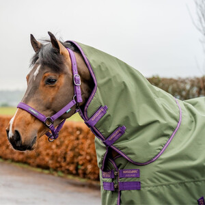 Horseware Amigo Hero Ripstop Plus Lite Turnout Rug Clearance in Bramble/Winterberry