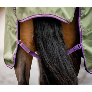 Horseware Amigo Hero Ripstop Plus Lite Turnout Rug Clearance in Bramble/Winterberry