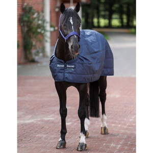 Bucas Bucas 100g Liner in Navy