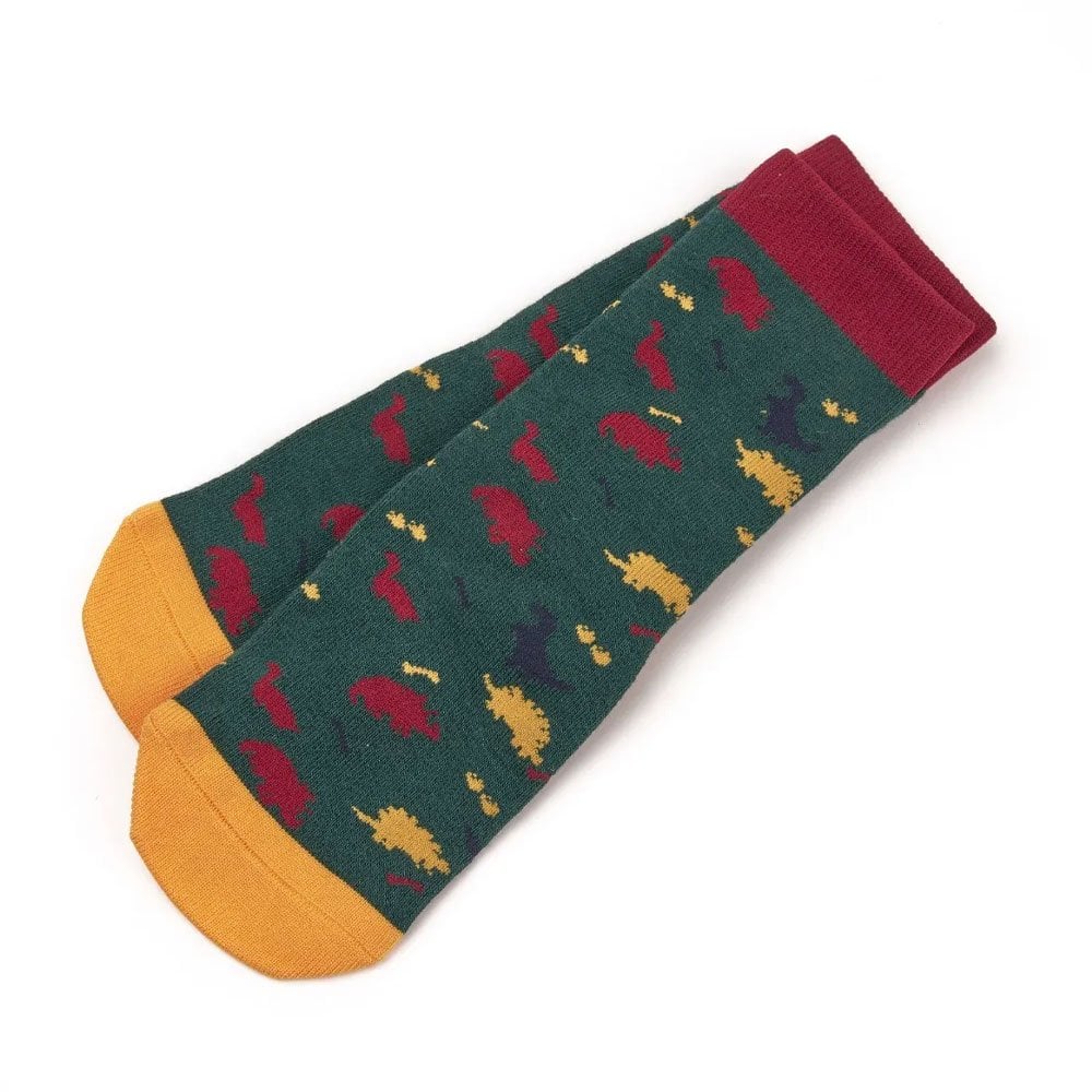 Shires Shires Kids Tikaboo Long Socks in Dino