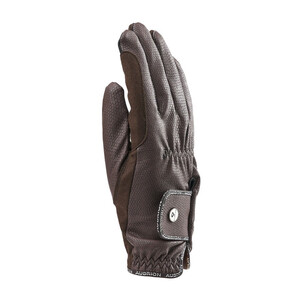 Shires Shires Aubrion Stadium Winter Riding Gloves in Brown