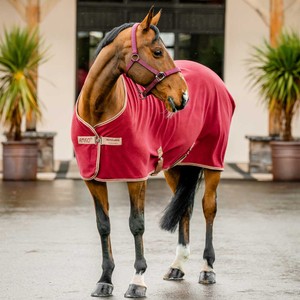 Horseware Horseware Amigo Fleece Cooler Rug in Mulberry/Taupe