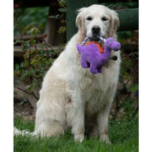 Petface Petface Buddies Rope Handle Dinosaur in Purple
