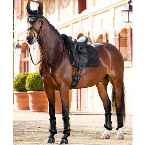 LeMieux LeMieux Merino+ Half Lined Suede Dressage Square in Black