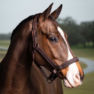 LeMieux LeMieux Stitched Hunter Headcollar in Havana