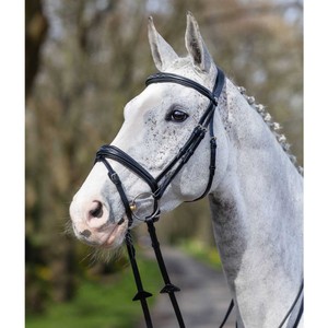 LeMieux LeMieux Kudos Competition Flash Bridle in Black