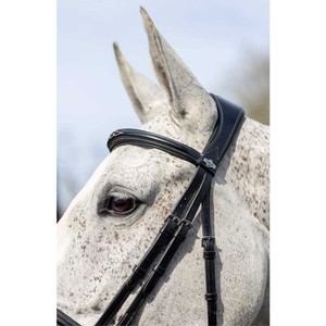 LeMieux LeMieux Kudos Competition Flash Bridle in Black