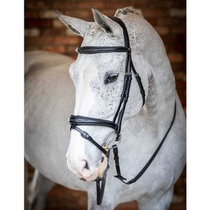 LeMieux LeMieux Kudos Competition Flash Bridle in Black