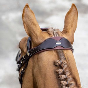 LeMieux LeMieux Kudos Competition Flash Bridle in Havana