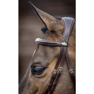 LeMieux LeMieux Kudos Competition Flash Bridle in Havana