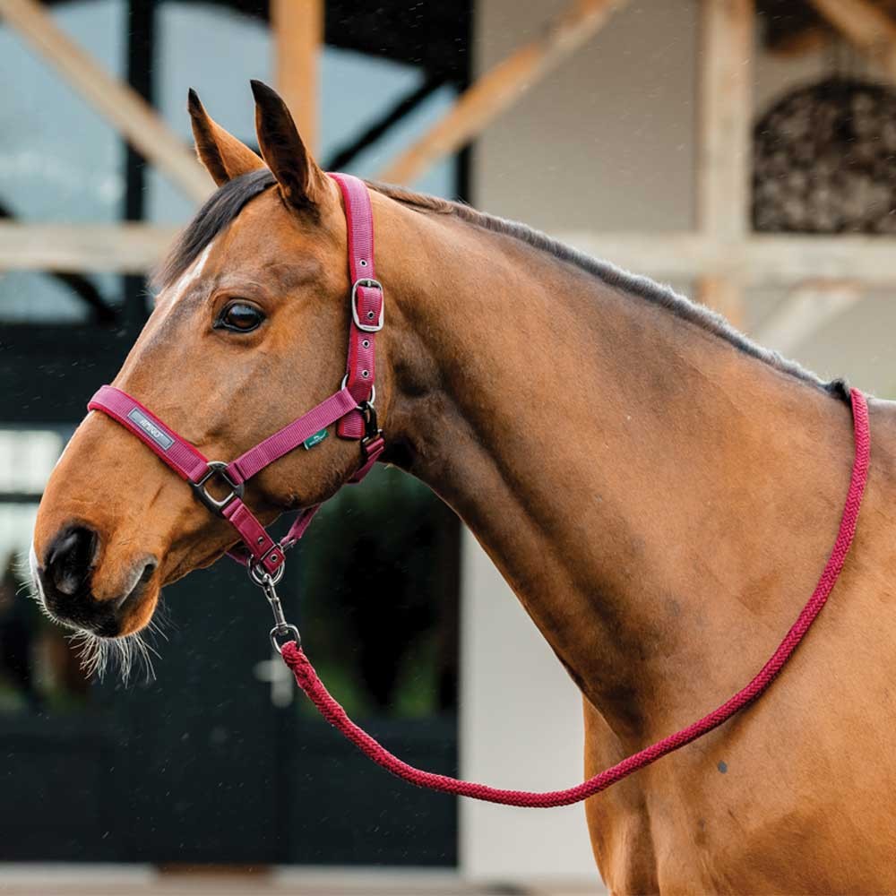 Horseware Amigo Headcollar & Leadrope Set Red
