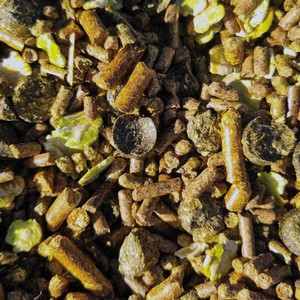 Baileys Baileys No.26 Senior Soft & Lite in No Colour