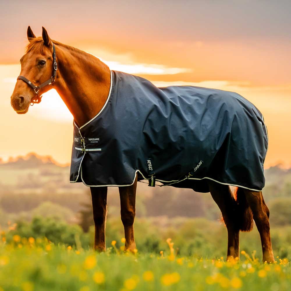 Horseware Amigo Ripstop 900D Lite 0g Turnout Rug Navy