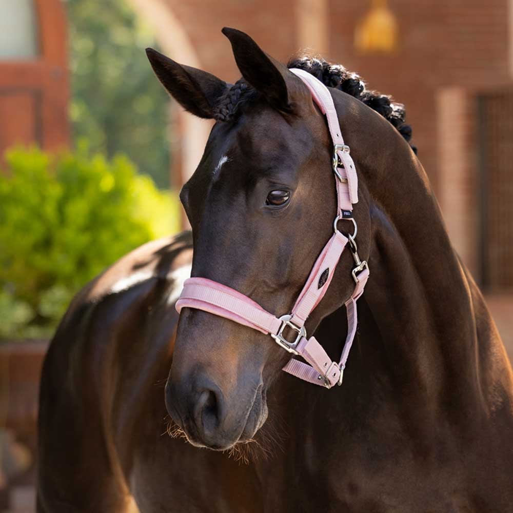 LeMieux Versailles Headcollar Pink
