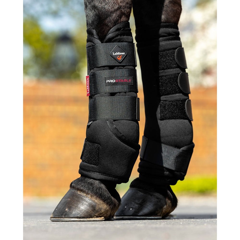 LeMieux Stable Boots Black