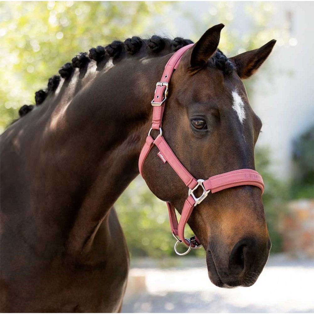 LeMieux Essence Headcollar Pink
