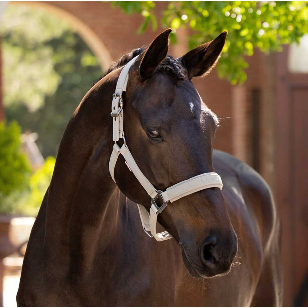 LeMieux Essence Headcollar Beige
