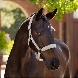 LeMieux LeMieux Essence Headcollar in Stone