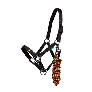 Horseware Horseware Newmarket Headcollar & Leadrope in Whitney Gold