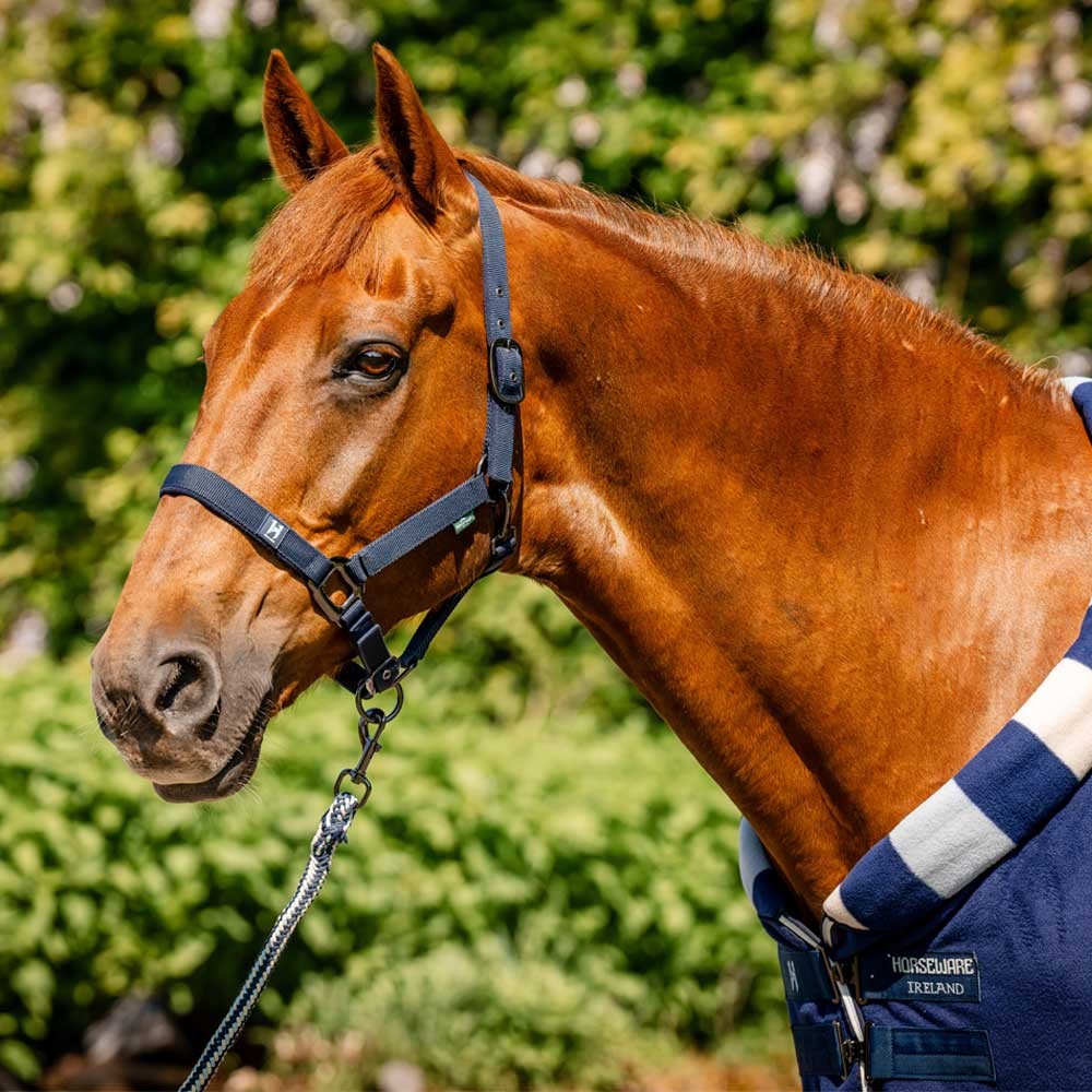 Horseware Newmarket Headcollar & Leadrope Navy